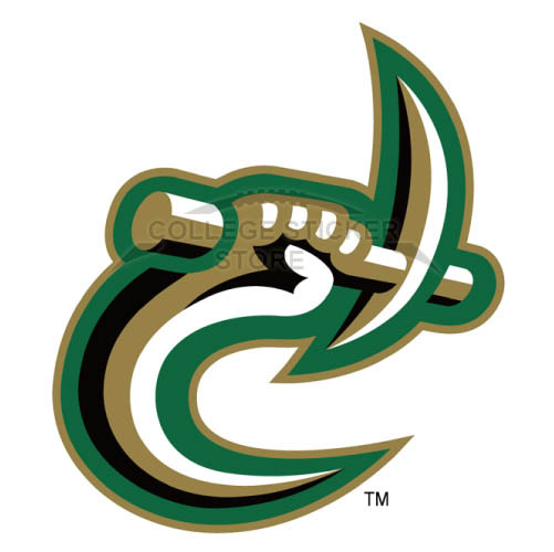 Customs Charlotte 49ers Iron-on Transfers (Wall Stickers)NO.4131